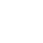 Custom Seal Style